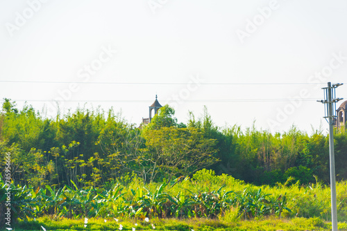 Majianglong Watchtower in Kaiping, Jiangmen, Guangdong, China photo