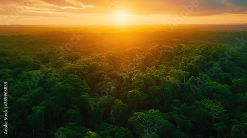 Vibrant Sunset Over Lush Tropical Rainforest Canopy. World Environment Day