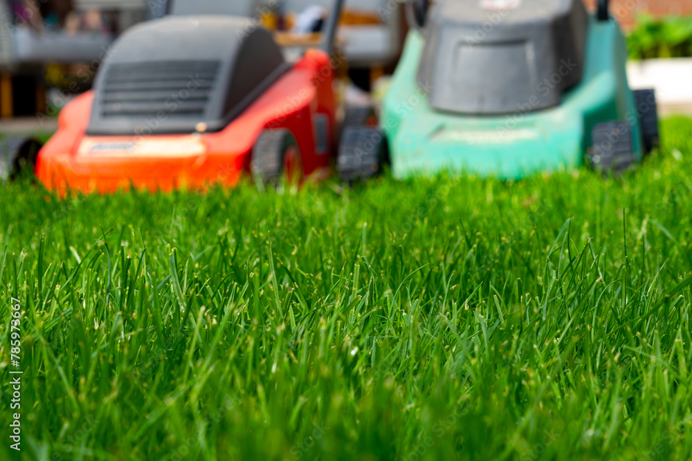 Seasonal maintenance works in garden, lawn movers in action, green grass cutting, lawn care, English lawn Seasonal maintenance works in garden, lawn movers in action, green grass cutting, lawn care, English lawn