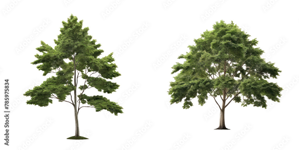 set of tree isolated on transparent background