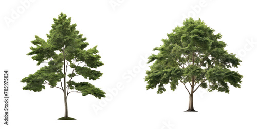 set of tree isolated on transparent background