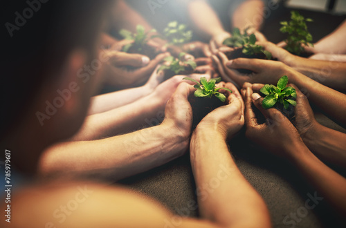 Obraz na płótnie People, natural and plant for growth with hands, earth day with support for environment and nature recourses