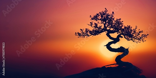 Bonsai tree on the sunset background