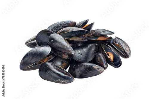 group of mussels .isolated on white background