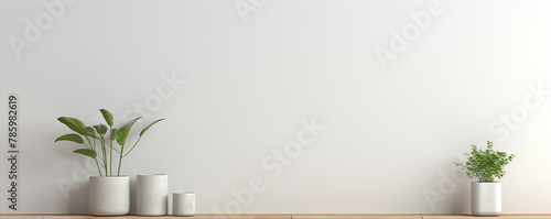 Minimalist white interior with plants and jugs photo