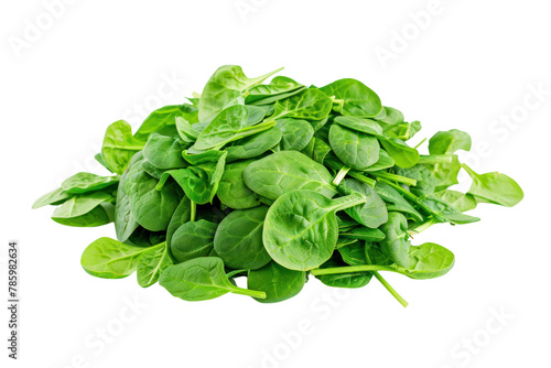 Pile of fresh green baby spinach leaves .isolated on white background