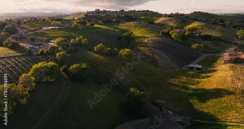 Aerial Footage of Gorgeous Rolling Hills in Santa Ynez Wine Country, Vineyards and Estates with Lush Trees and Green Grass photo