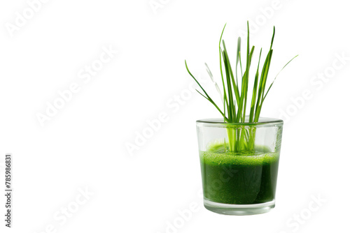 Shot of wheat grass drink
.isolated on white background