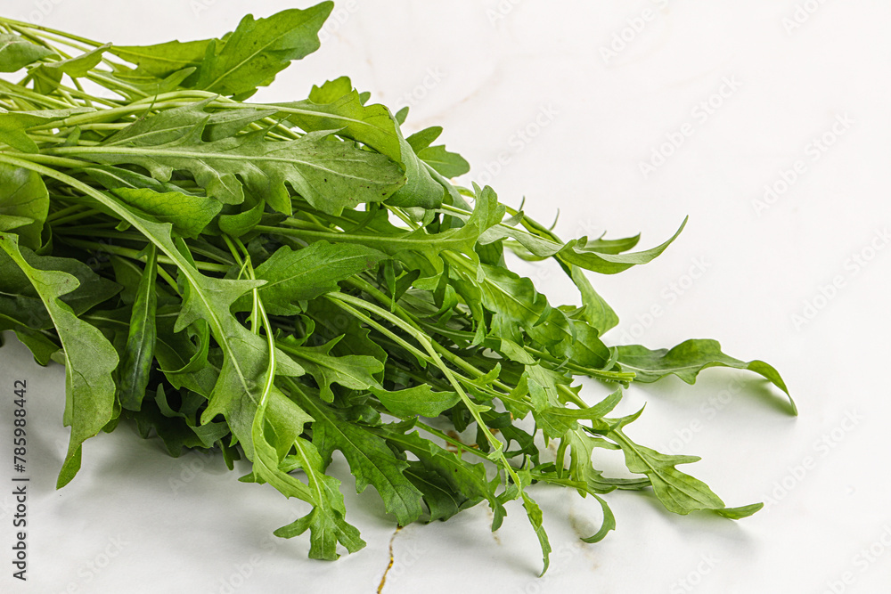 Fresh tasty natural organic rucola Fresh tasty natural organic rucola