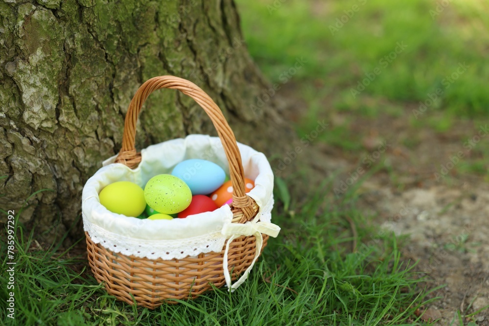 Easter celebration. Painted eggs in wicker basket on green grass, space for text Easter celebration. Painted eggs in wicker basket on green grass, space for text