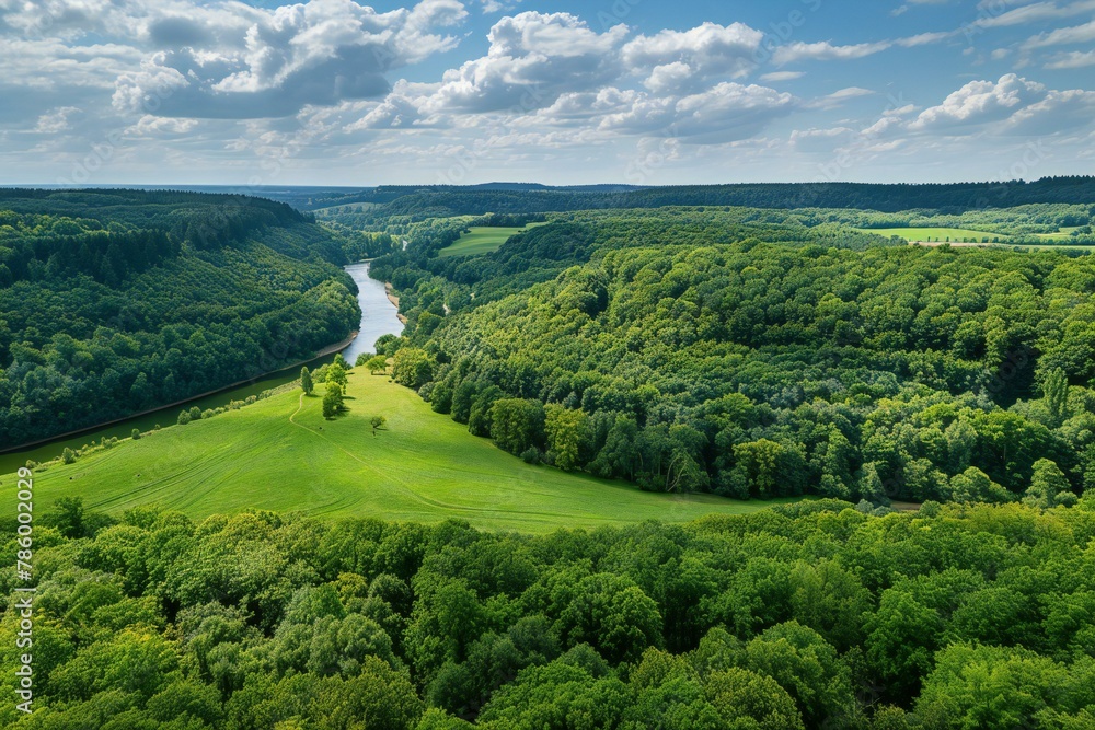 Aerial view of a green meadow with trees and a river