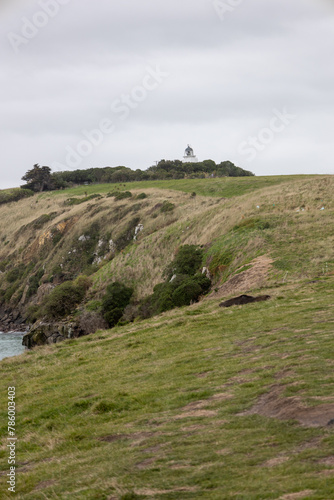 Ausblick auf wunderschöne Landschaft in Neuseeland mit Leuchtturm