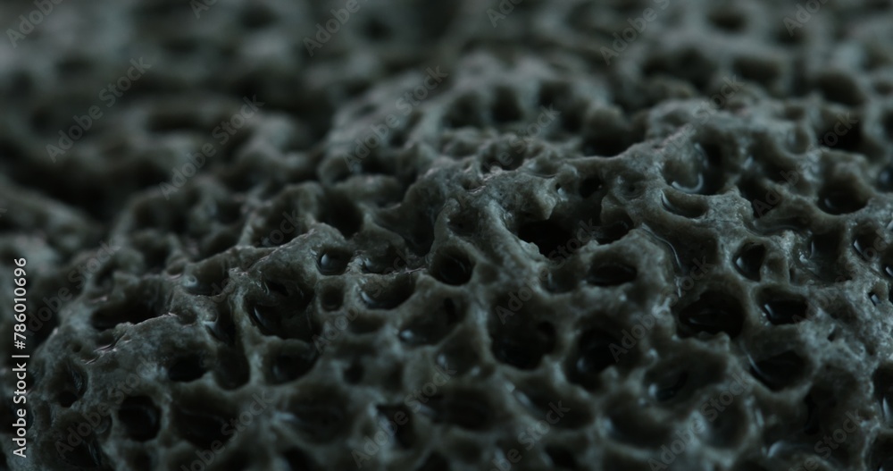 Ultra Close-Up of a Highly Porous Stone Surface. Dolly shot, shallow dof. Ultra Close-Up of a Highly Porous Stone Surface. Dolly shot, shallow dof.