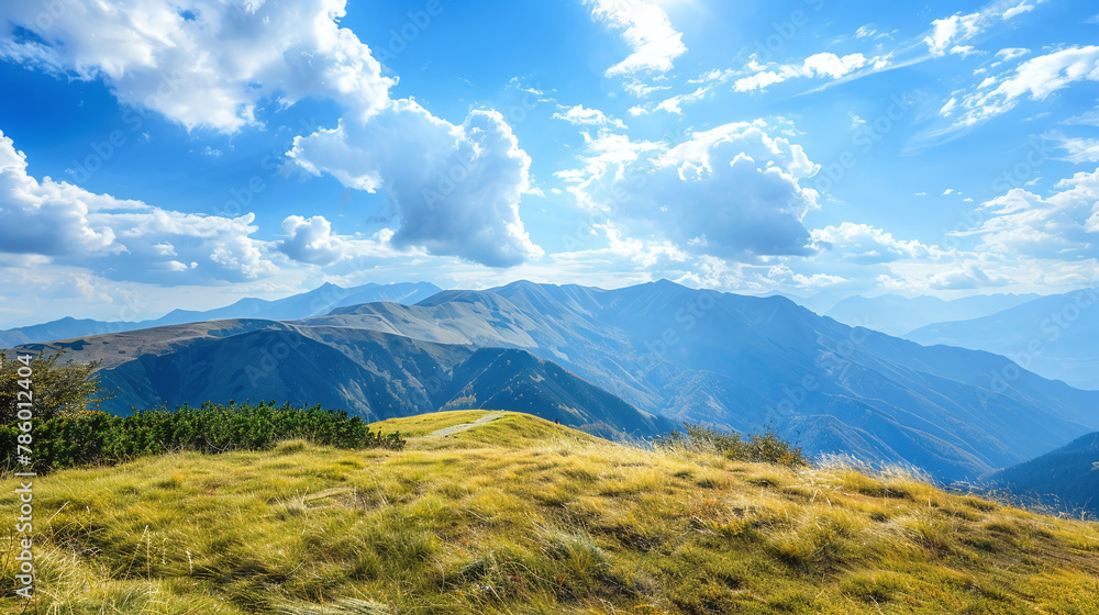 Fototapeta premium View of meadow and mountains