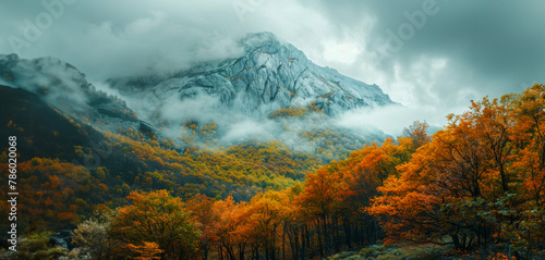 A mountain range covered in trees and snow