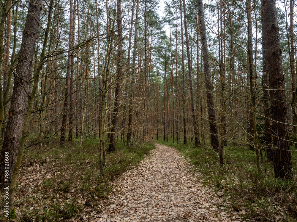 Fototapeta premium Landschaft