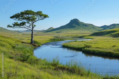Solitary tree by a winding river in lush green hills