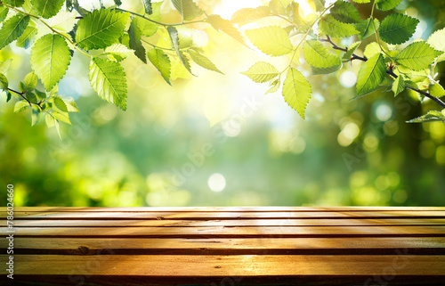 Spring - Green Leaves On Wooden Table In Sunny Defocused Garden