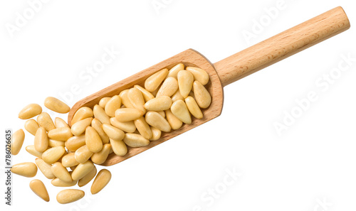 Roasted pine nuts in the wooden scoop, isolated on the white background, top view.