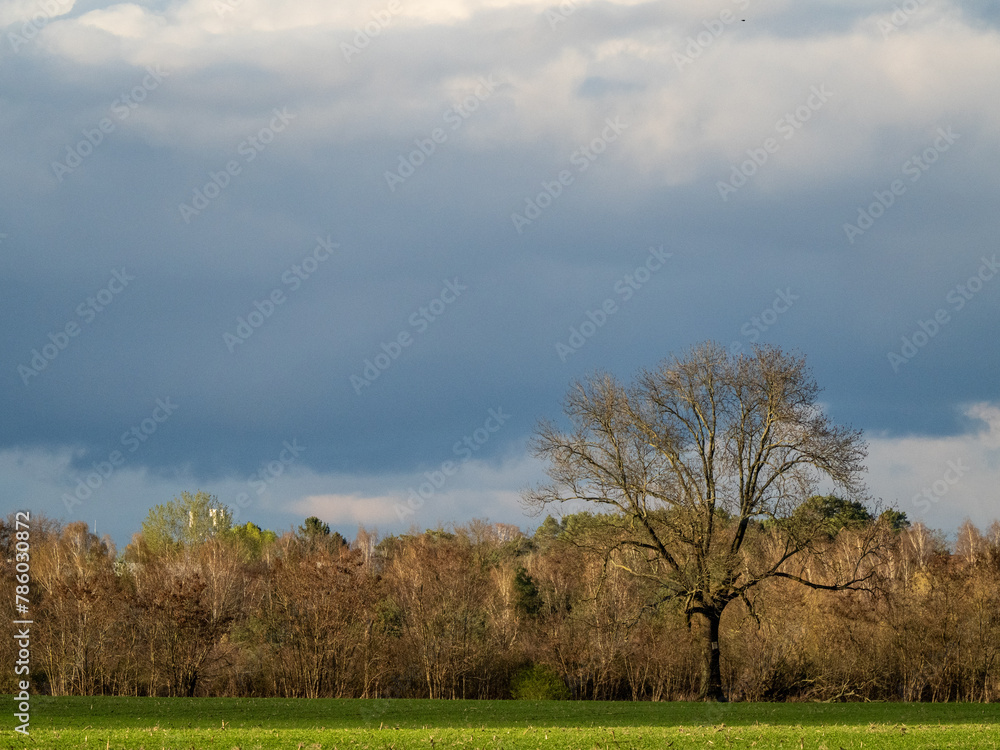 Landschaft