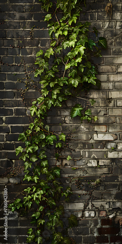 Trepadeira verde exuberante escalando uma parede de tijolos envelhecida
