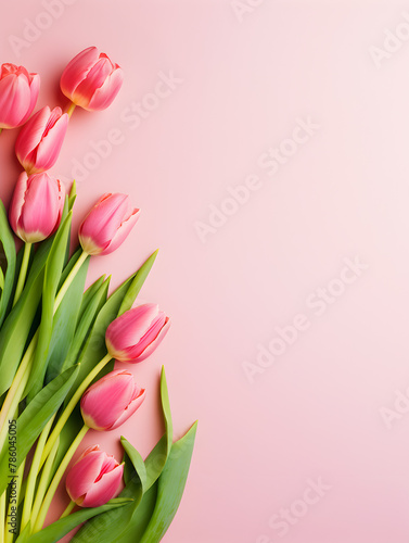 Abstract top view background with pink tulip flowers on pink copy space   #786045005
