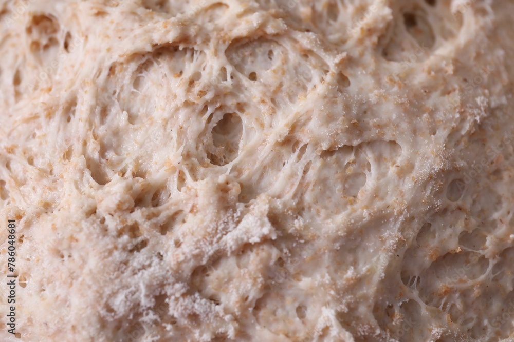 Closeup view of fresh sourdough as background Closeup view of fresh sourdough as background