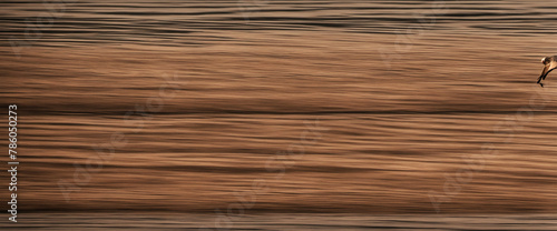 old brown aged rustic wooden texture 