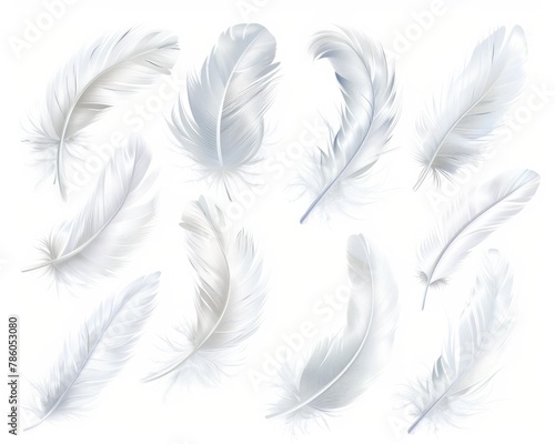 Bird Feather Set Isolated. Elegant White Feathers Collection for Angelic Accessories