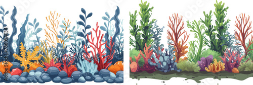  Sea reef weeds and corals, underwater ocean and aquarium life
