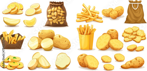 Potatoes in bag, chopped, chips and slices. Farm fresh vegetable, potato cuts set