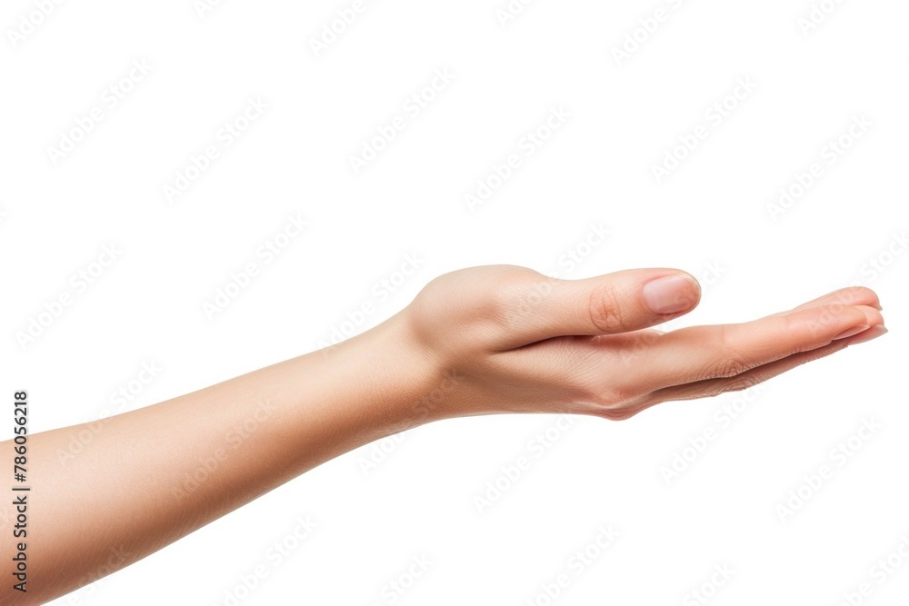 Beautiful Female Hand. Isolated Hand of Woman Holding Object on White Background