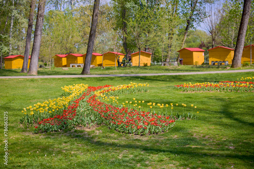 beautiful landscape in the park, arrangement with tulips in spring.