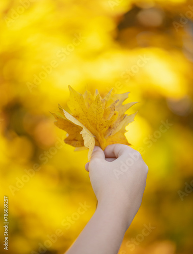 female hand holding yellow maple leaf against nature blurred background with sun light rays.