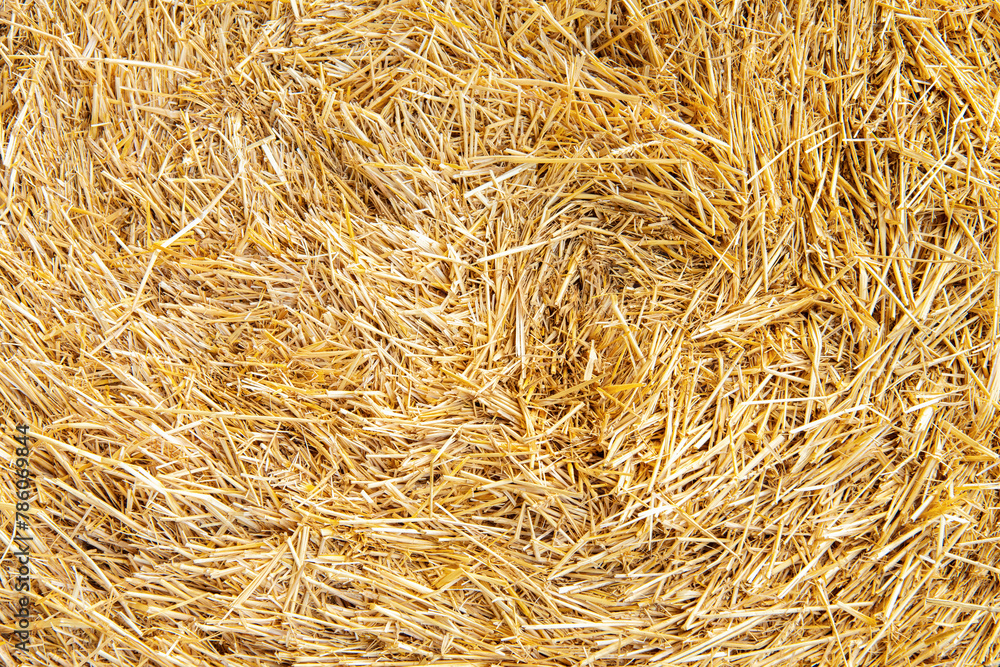 Hay texture. Hay bales are stacked in large stacks. Harvesting in agriculture. Hay texture. Hay bales are stacked in large stacks. Harvesting in agriculture.
