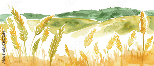 watercolor background border illustration golden wheat field
