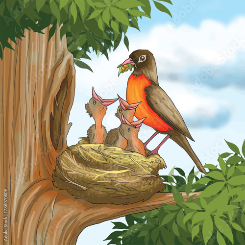 The mother bird feeds her young from her beak. A mother bird giving food to her young.