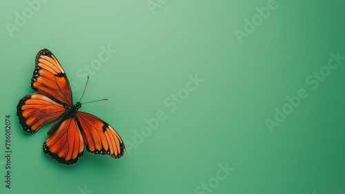 Close-up of an eye-catching Monarch butterfly in high contrast against a green background