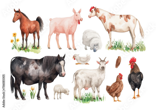 Animals meet types watercolor illustrations set, hand drawn illustrations of cow, chicken, pig, sheep, goat and duck. Domestic farm animals isolated on white background, vector illustrations