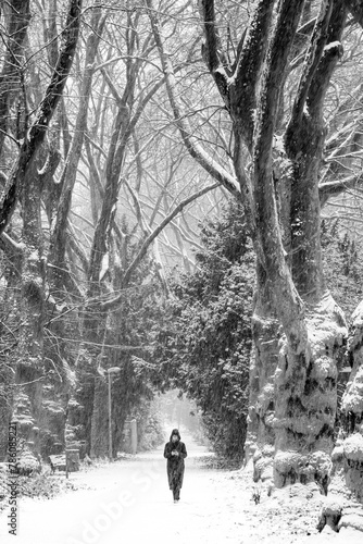 Frau im Schnee unter Bäumen in schwarz-weiss