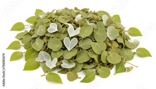 Fresh chopped Tinospora cordifolia herb (Heart leaved moonseed) isolated on white background photo
