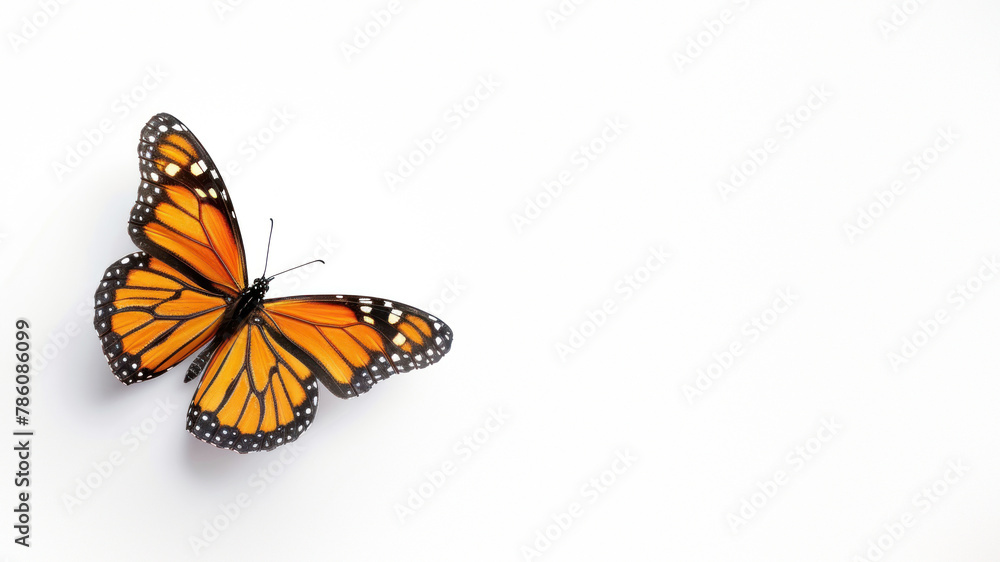 A captivating Monarch butterfly isolated on a white background, highlighting its iconic orange and black pattern A captivating Monarch butterfly isolated on a white background, highlighting its iconic orange and black pattern