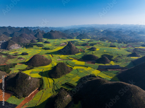 Aerial view of Canola field in Luoping, Yunnan, China
