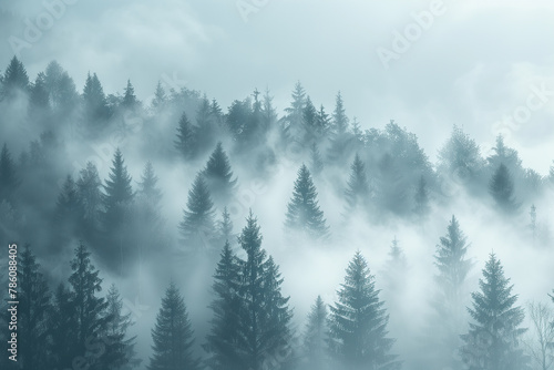 Landscape with fog