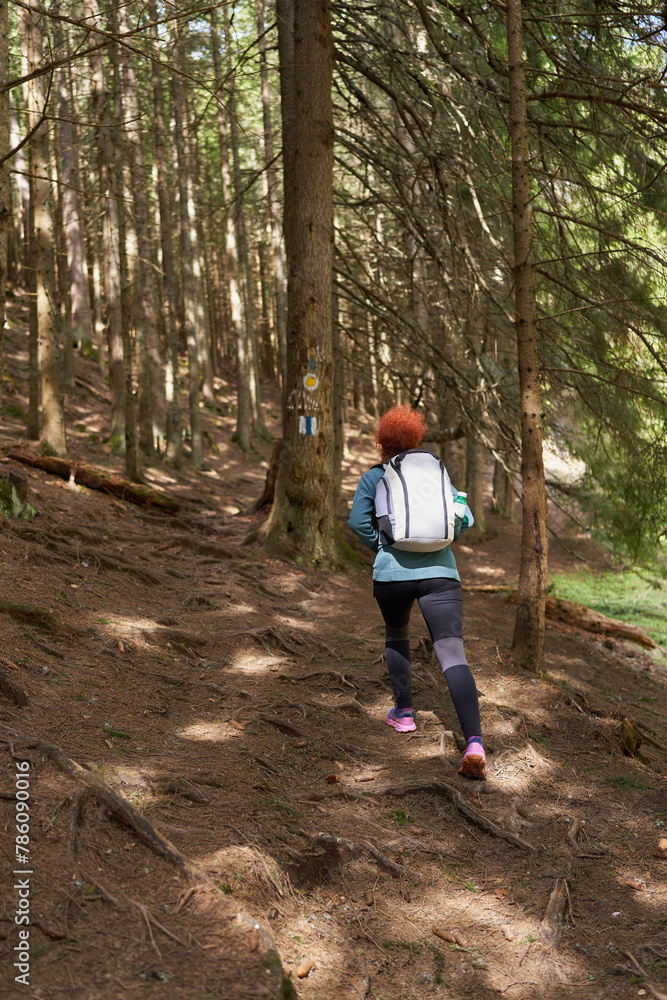 Fototapeta premium Hiker lady with backpack alone on the trail