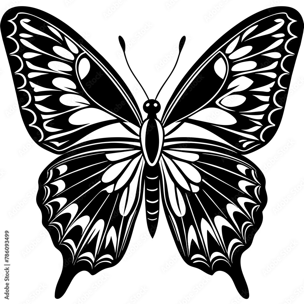 Butterfly vector illustration.
Butterfly vector illustration.
