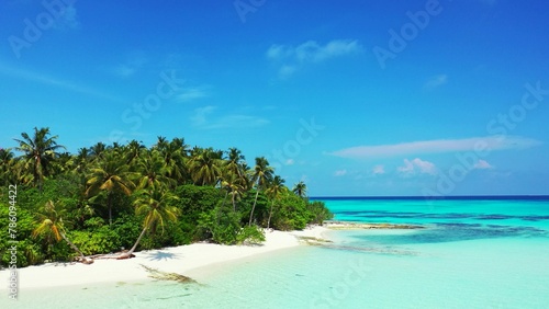 Beautiful view of a beach with palm trees on a summer sunny day