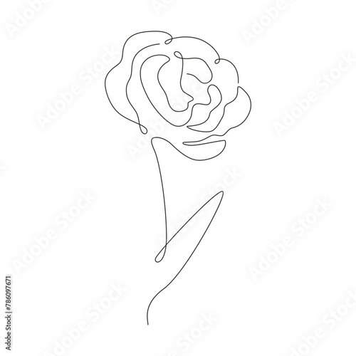 Single line drawing rose