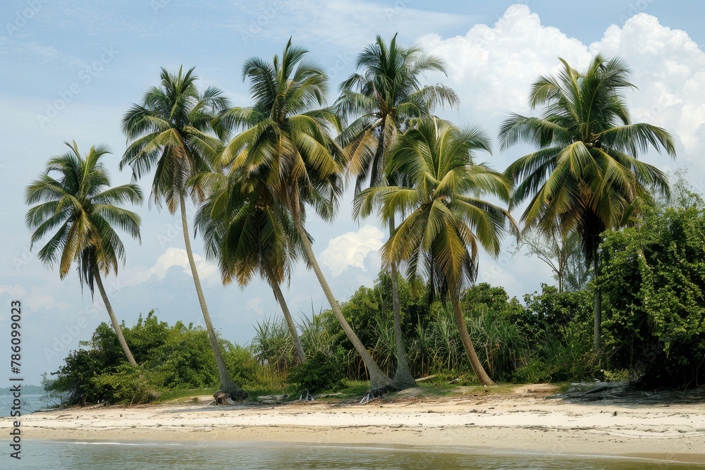 Serene Tropical Beachscape with Lush Palm Trees at Sunset Serene Tropical Beachscape with Lush Palm Trees at Sunset