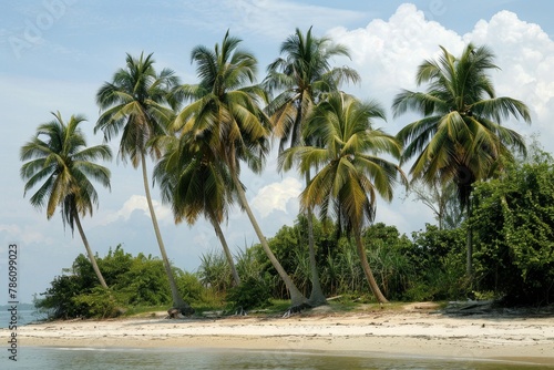 Serene Tropical Beachscape with Lush Palm Trees at Sunset